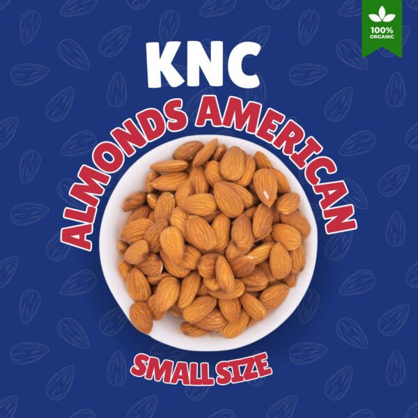KNC ALMONDS AMERICAN SMALL SIZE ( Badam giri choti )