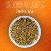 Bhuna Channa Special